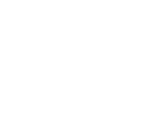 Logo pchc stack white